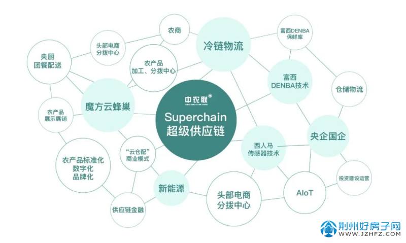 顶尖ceo思维运营心得,顶尖ceo思维运营心得体会