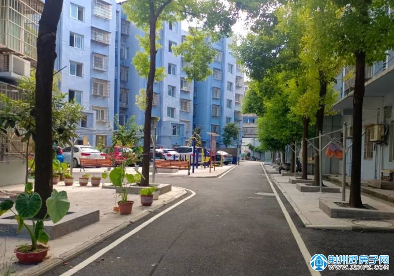 沙市泰和苑小区老旧小区绽新颜